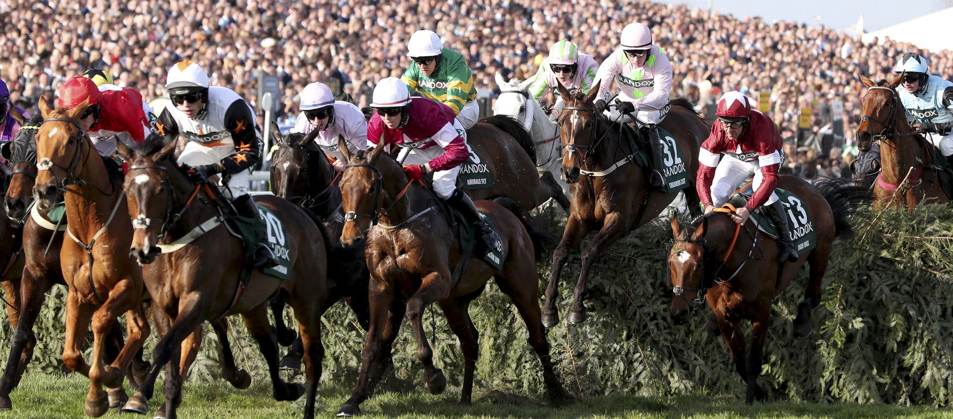 Tiger Roll ridden by jockey Davy Russell (2R) jumps the water jump heading to victory in the Grand National horse race on the final day of the Grand National Festival at Aintree Racecourse in Liverpool, northern England on April 14, 2018 Tiger Roll ridden by jockey Davy Russell (2R) jumps the water jump heading to victory in the Grand National horse race on the final day of the Grand National Festival at Aintree Racecourse in Liverpool, northern England on April 14, 2018 - Sputnik International, 1920, 03.04.2019
