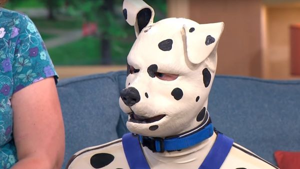 Holly And Phillip Meet The Human Puppy - Sputnik International