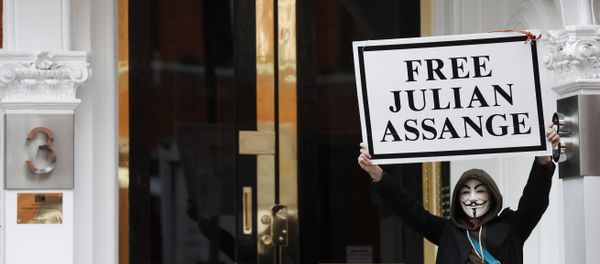 A demonstrator holds up a 'Free Assange' placard outside the front entrance of the Ecuadorian Embassy where Wikileaks founder Julian Assange has been holed out since 2012, in London, Friday, April 5, 2019 - Sputnik International
