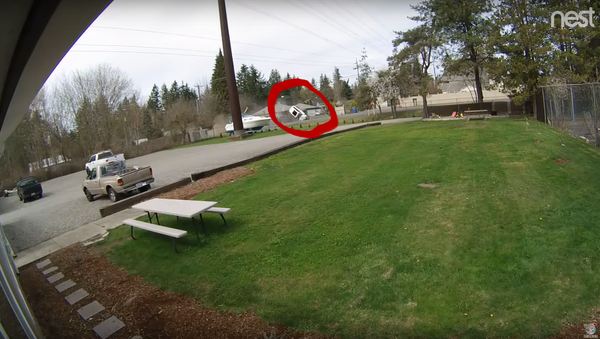 Stolen SUV Caught Clipping Police Vehicle, Flipping During Pursuit - Sputnik International