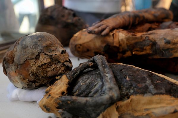 Two mummies, of a woman and child, are on display at the newly discovered burial site, the Tomb of Tutu, at al-Dayabat, Sohag Two mummies, of a woman and child, are on display at the newly discovered burial site, the Tomb of Tutu, at al-Dayabat, Sohag - Sputnik International