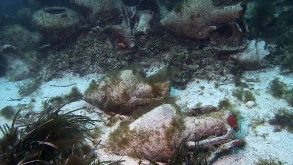 In this photo taken on Sunday, April 7, 2019, ancient amphoras lie at the bottom of the sea from a 5th Century B.C. shipwreck, the first ancient shipwreck to be opened to the public in Greece, including to recreational divers who will be able to visit the wreck itself, near the coast of Peristera, Greece.  - Sputnik International