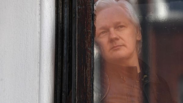 In this file photo taken on May 19, 2017, Wikileaks founder Julian Assange peers through the window prior to speaking on the balcony of the Embassy of Ecuador in London In this file photo taken on May 19, 2017, Wikileaks founder Julian Assange peers through the window prior to speaking on the balcony of the Embassy of Ecuador in London - Sputnik International