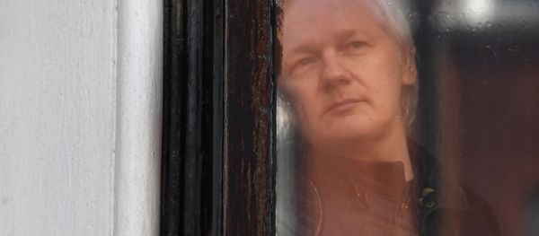 In this file photo taken on May 19, 2017, Wikileaks founder Julian Assange peers through the window prior to speaking on the balcony of the Embassy of Ecuador in London - Sputnik International