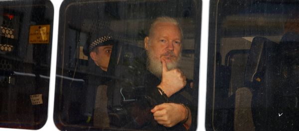 WikiLeaks founder Julian Assange is seen in a police van after was arrested by British police outside the Ecuadorian embassy in London WikiLeaks founder Julian Assange is seen in a police van after was arrested by British police outside the Ecuadorian embassy in London - Sputnik International