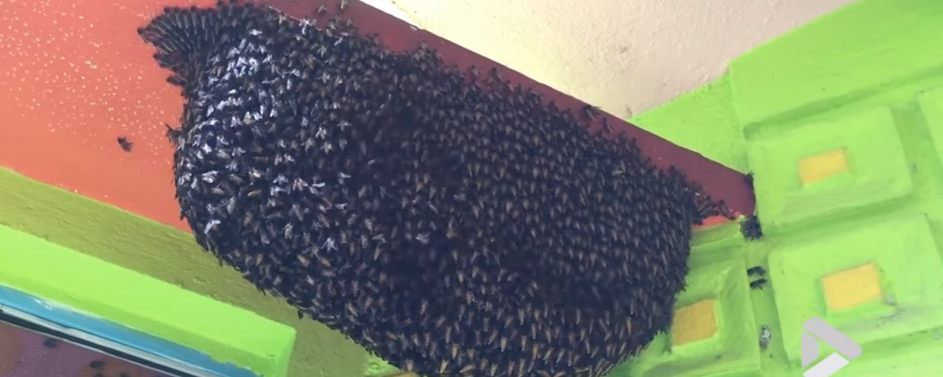 Honeybees Protect Habitat With Defensive Waves - Sputnik International, 1920, 12.04.2019