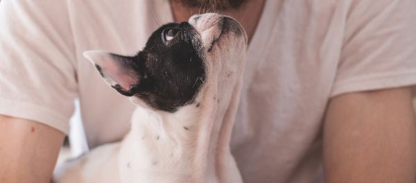 A dog owner A dog owner - Sputnik International