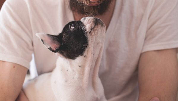 A dog owner - Sputnik International