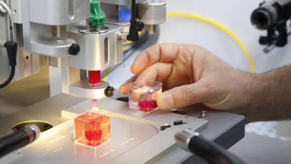 This photo taken on April 15, 2019 at the University of Tel Aviv shows a 3D print of heart with human tissue. Scientists in Israel on Monday unveiled a 3D print of a heart with human tissue and vessels, calling it a first and a major medical breakthrough that advances possibilities for transplants - Sputnik International