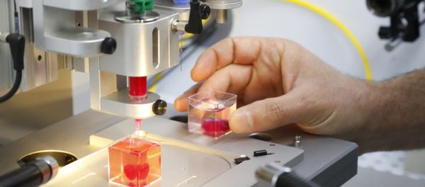 This photo taken on April 15, 2019 at the University of Tel Aviv shows a 3D print of heart with human tissue. Scientists in Israel on Monday unveiled a 3D print of a heart with human tissue and vessels, calling it a first and a major medical breakthrough that advances possibilities for transplants This photo taken on April 15, 2019 at the University of Tel Aviv shows a 3D print of heart with human tissue. Scientists in Israel on Monday unveiled a 3D print of a heart with human tissue and vessels, calling it a first and a major medical breakthrough that advances possibilities for transplants - Sputnik International