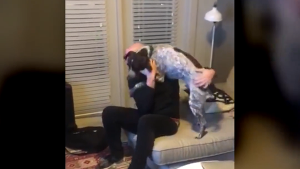 ‘Hi Buddy!’: Exuberant Pooch Reunited With Owner After a Month - Sputnik International