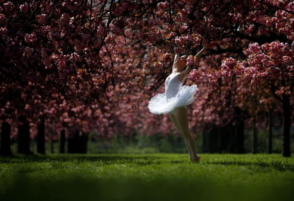 This Week in Pictures: 13 April - 19 April - Sputnik International