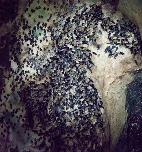 World's Most Creepy Places: Tourism for Thrill-seekers World's Most Creepy Places: Tourism for Thrill-seekers - Sputnik International