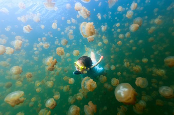 World's Most Creepy Places: Tourism for Thrill-seekers World's Most Creepy Places: Tourism for Thrill-seekers - Sputnik International