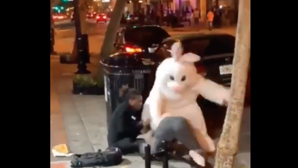 Easter Bunny Fight - Sputnik International