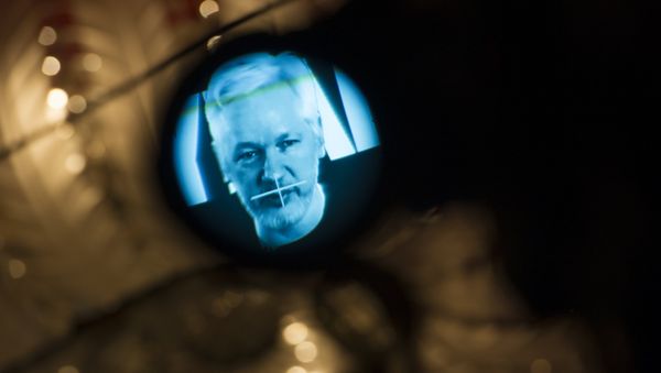 Julian Assange, founder of the online leaking platform WikiLeaks, is seen through the eyepeace of a camera as he is displayed on a screen via a live video connection during a press conference on the platform's 10th anniversary on October 4, 2016 in Berlin Julian Assange, founder of the online leaking platform WikiLeaks, is seen through the eyepeace of a camera as he is displayed on a screen via a live video connection during a press conference on the platform's 10th anniversary on October 4, 2016 in Berlin - Sputnik International