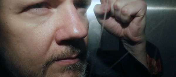 WikiLeaks founder Julian Assange being taken from court, where he appeared on charges of jumping British bail seven years ago, in London, Wednesday May 1, 2019 WikiLeaks founder Julian Assange being taken from court, where he appeared on charges of jumping British bail seven years ago, in London, Wednesday May 1, 2019 - Sputnik International