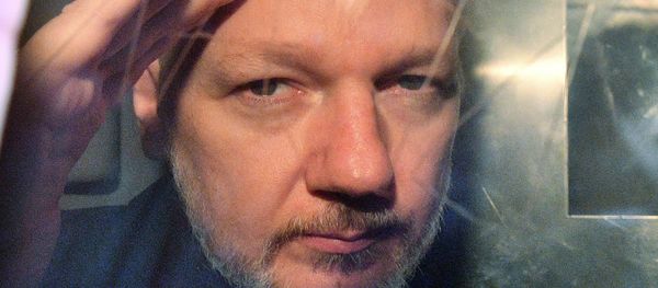 Julian Assange - Sputnik International