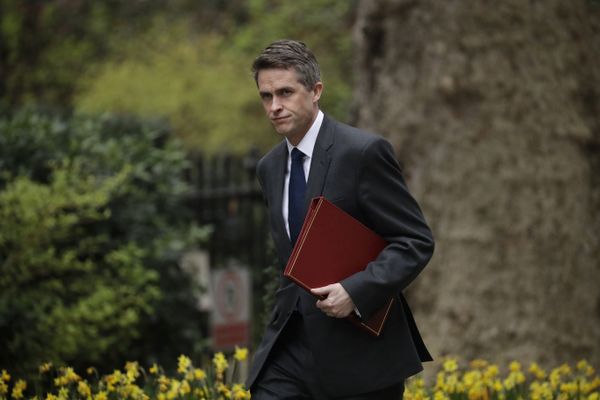 Johnson Reportedly to Allow 'Asleep at the Switch' Williamson to Retain Post Despite A-Levels Fiasco Johnson Reportedly to Allow 'Asleep at the Switch' Williamson to Retain Post Despite A-Levels Fiasco - Sputnik International