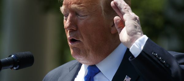 President Donald Trump swats at a bee during a National Day of Prayer event in the Rose Garden of the White House, Thursday, May 2, 2019, in Washington President Donald Trump swats at a bee during a National Day of Prayer event in the Rose Garden of the White House, Thursday, May 2, 2019, in Washington - Sputnik International