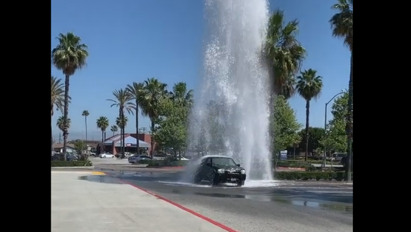 Waste Not, Want Not: Motorists Take Advantage of Broken Hydrant - Sputnik International