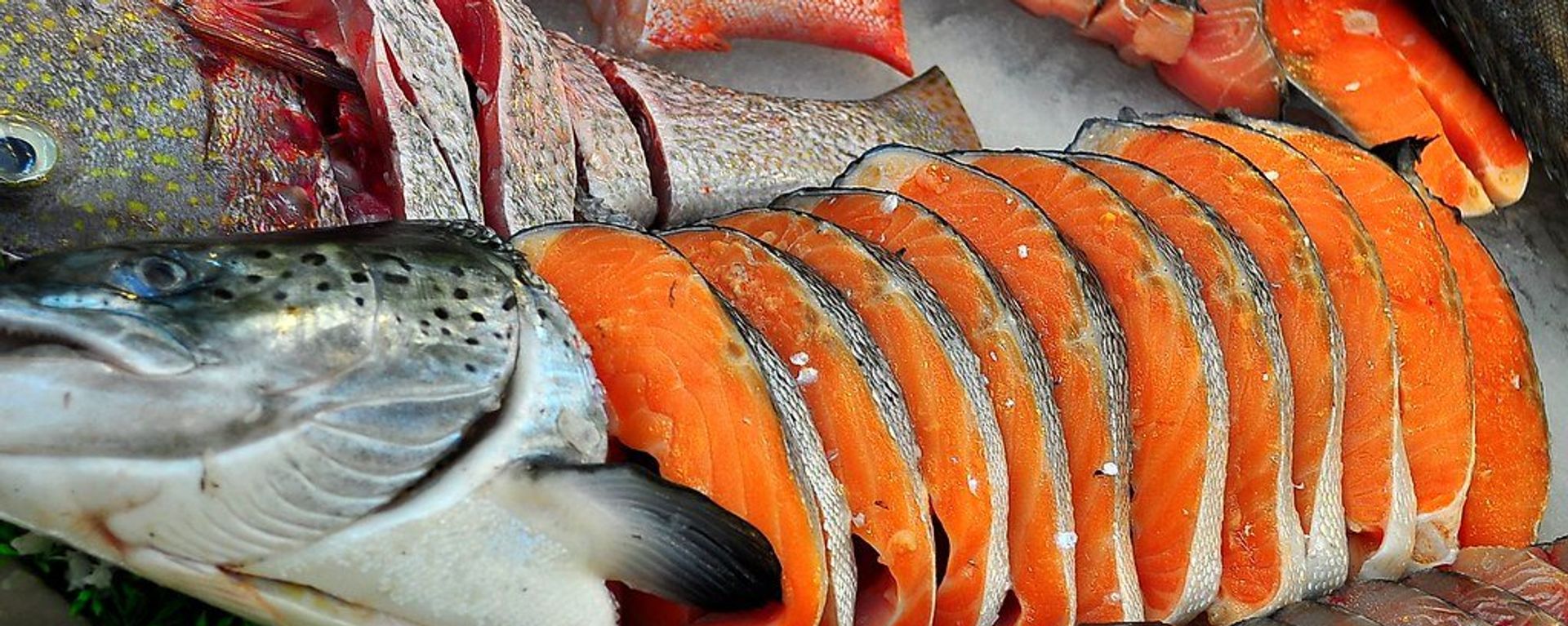 FRESH SALMON - Sputnik International, 1920, 08.05.2019
