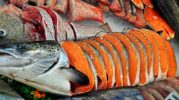FRESH SALMON - Sputnik International