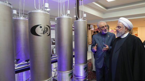 A handout picture made available by the Iranian presidential office shows, Iranian President Hassan Rouhani (2nd L) listening to head of Iran's nuclear technology organisation Ali Akbar Salehi (R) during the nuclear technology day in Tehran on April 9, 2019 A handout picture made available by the Iranian presidential office shows, Iranian President Hassan Rouhani (2nd L) listening to head of Iran's nuclear technology organisation Ali Akbar Salehi (R) during the nuclear technology day in Tehran on April 9, 2019 - Sputnik International