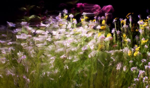 Jardins d’Été Painting. 2016 Jardins d’Été Painting. 2016 - Sputnik International