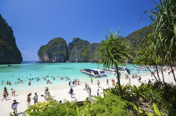 Maya Bay in Thailand Maya Bay in Thailand - Sputnik International