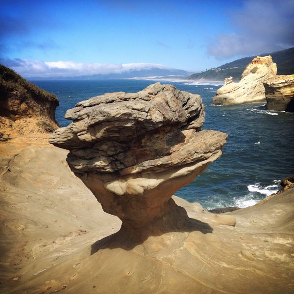 Duckbill on the Oregon Beach Duckbill on the Oregon Beach - Sputnik International