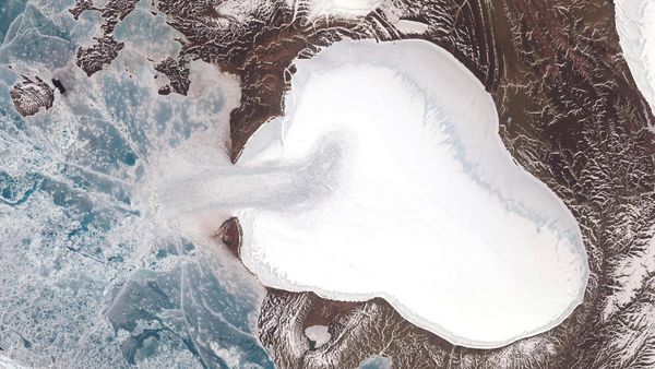 Vavilov Ice Cap glacier - Sputnik International