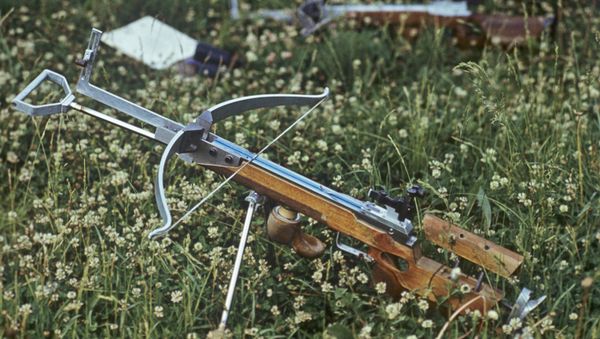 Crossbow on Grass - Sputnik International