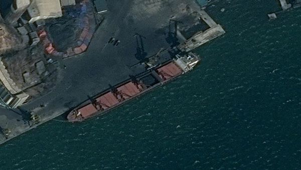 An undated surveillance image provided in a U.S. Department of Justice complaint for forfeiture released May 9, 2019 shows what is described as the North Korean vessel Wise Honest being loaded with coal in Nampo, North Korea. An undated surveillance image provided in a U.S. Department of Justice complaint for forfeiture released May 9, 2019 shows what is described as the North Korean vessel Wise Honest being loaded with coal in Nampo, North Korea. - Sputnik International