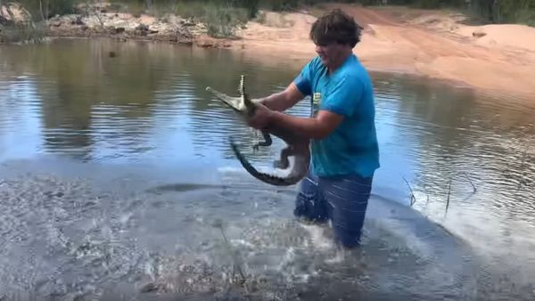 Croc getting a taste of his own medicine - Sputnik International