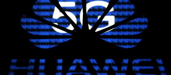 A 3-D printed Huawei logo is seen in front of displayed 5G words in this illustration taken February 12, 2019 - Sputnik International