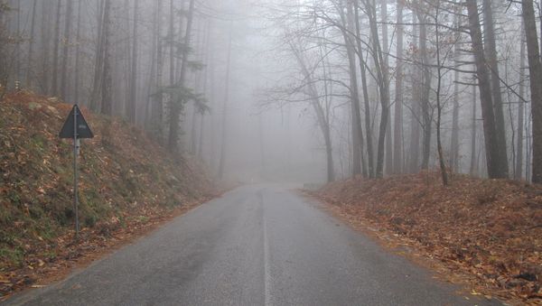 A quiet tuscany road A quiet tuscany road - Sputnik International