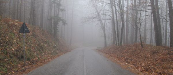 A quiet tuscany road - Sputnik International