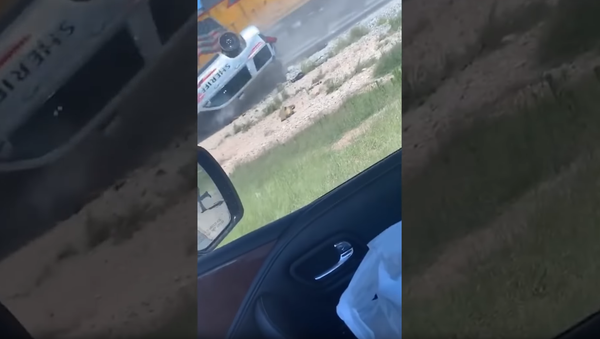 Unsuspecting US Deputy’s SUV Struck, Flipped Over by Train - Sputnik International