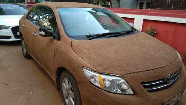 Cow dung car - Sputnik International