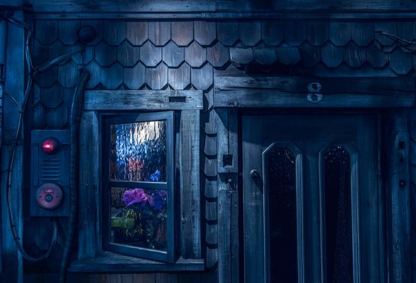 Details by Tom Blachford - Sputnik International