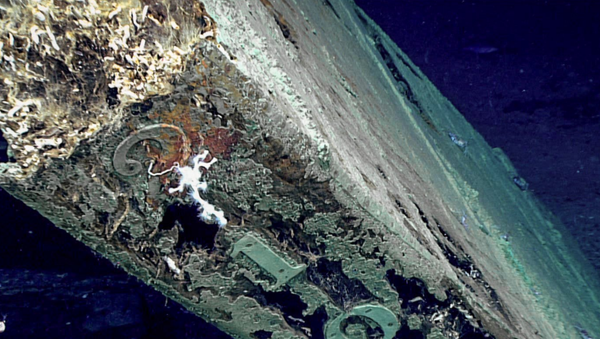 Mysterious 19th-Century Shipwreck Discovered in Gulf of Mexico - Sputnik International