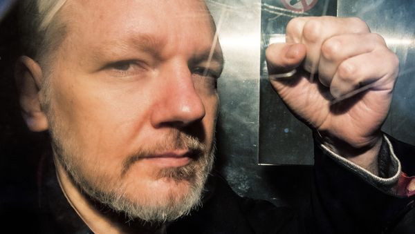 In this file photo taken on May 01, 2019 WikiLeaks founder Julian Assange gestures from the window of a prison van as he is driven out of Southwark Crown Court in London, after having been sentenced to 50 weeks in prison for breaching his bail conditions in 2012 - Sputnik International