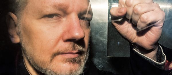 In this file photo taken on May 01, 2019 WikiLeaks founder Julian Assange gestures from the window of a prison van as he is driven out of Southwark Crown Court in London, after having been sentenced to 50 weeks in prison for breaching his bail conditions in 2012 - Sputnik International