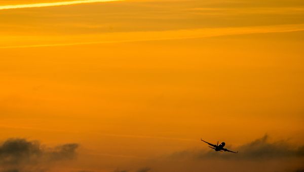 Boeing 737 (File) - Sputnik International