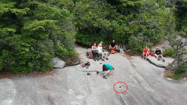 Attempted Drone Selfie Turns to Family Fail - Sputnik International
