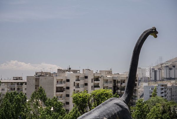 Tehran Opens Giant Insects Park  - Sputnik International