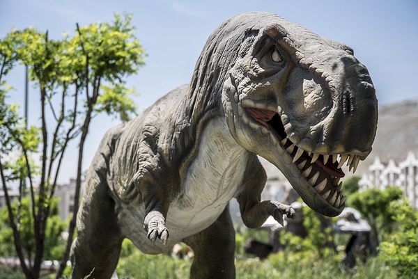 Tehran Opens Giant Insects Park  - Sputnik International
