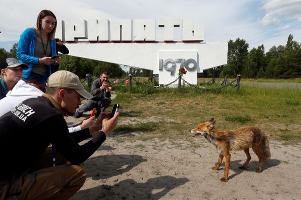 This Week in Pictures: 1 June - 7 June - Sputnik International