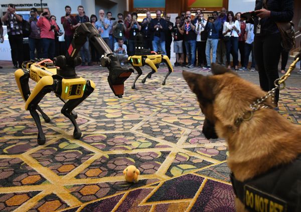 This Week in Pictures: 1 June - 7 June - Sputnik International